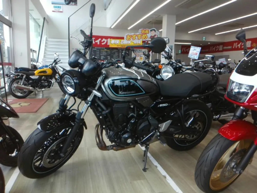 Kawasaki Z650RS 2023, gray / black, фото 2