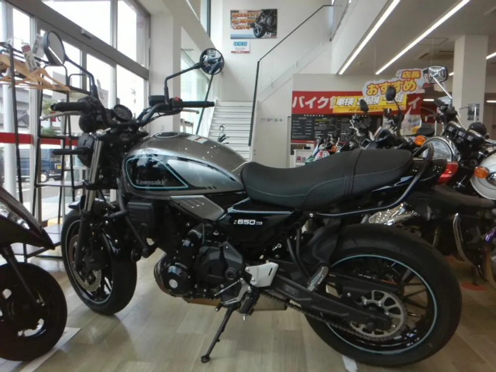 Kawasaki Z650RS 2023, gray / black, фото 4