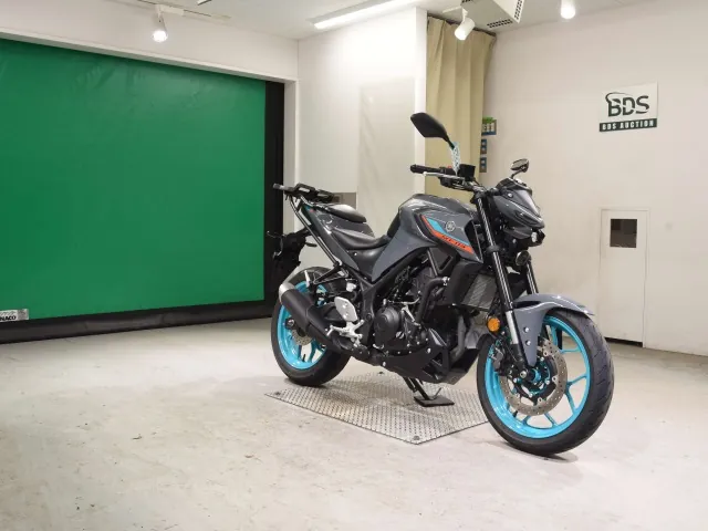 Yamaha Mt-03A 2024, black | gray, фото 3