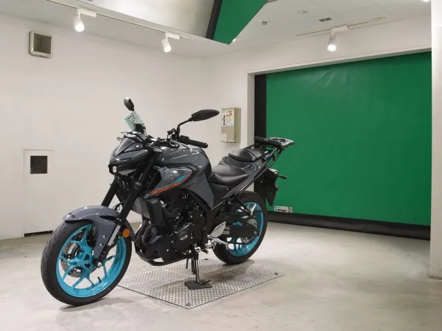 Yamaha Mt-03A 2024, black | gray, фото 4