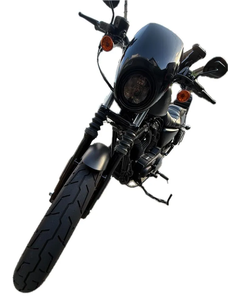 Harley-Davidson XL883N Iron 2017, фото 5