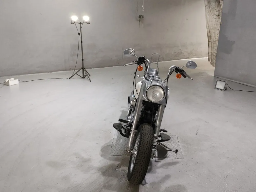 Harley-Davidson Fat Boy 2002, белый, фото 3