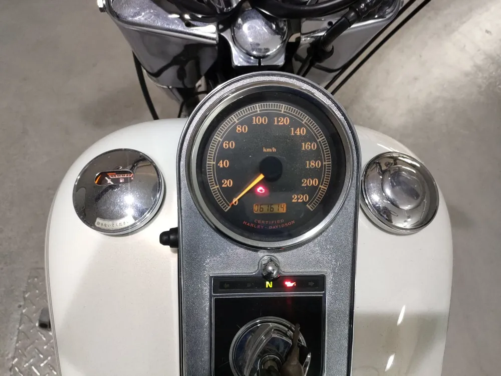 Harley-Davidson Fat Boy 2002, белый, фото 5