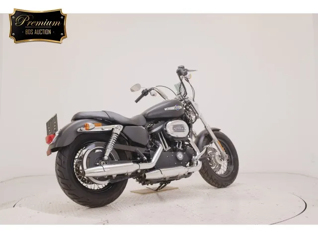 Harley-Davidson XL1200CB 2012, matt black, фото 5
