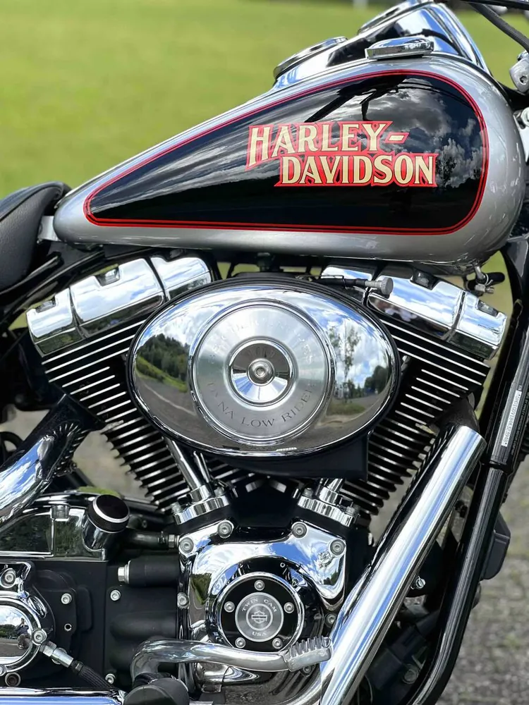 Harley-Davidson FXDL 2004, фото 10