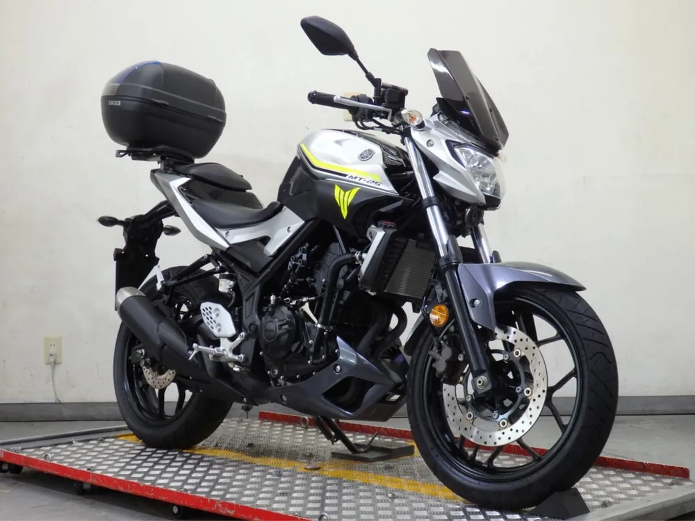 Yamaha YZF-R25, silver/gray, фото 3