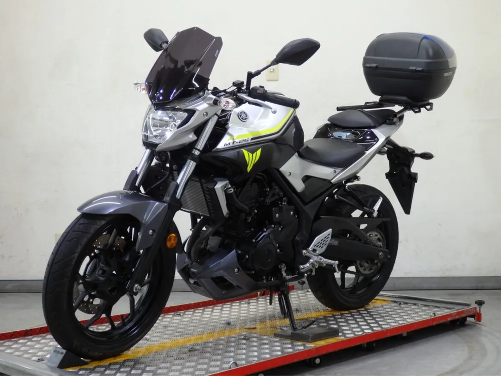Yamaha YZF-R25, silver/gray, фото 6