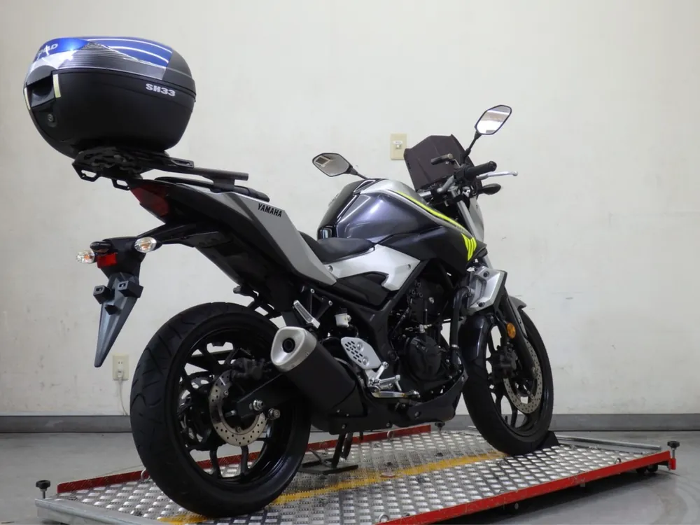 Yamaha YZF-R25, silver/gray, фото 7