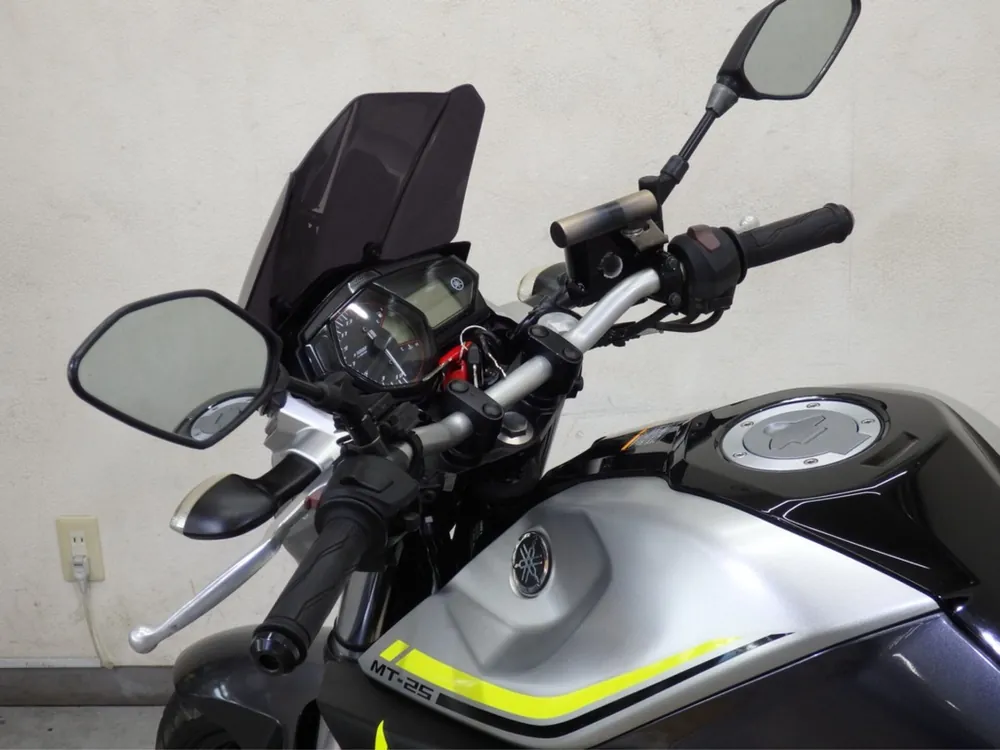 Yamaha YZF-R25, silver/gray, фото 8