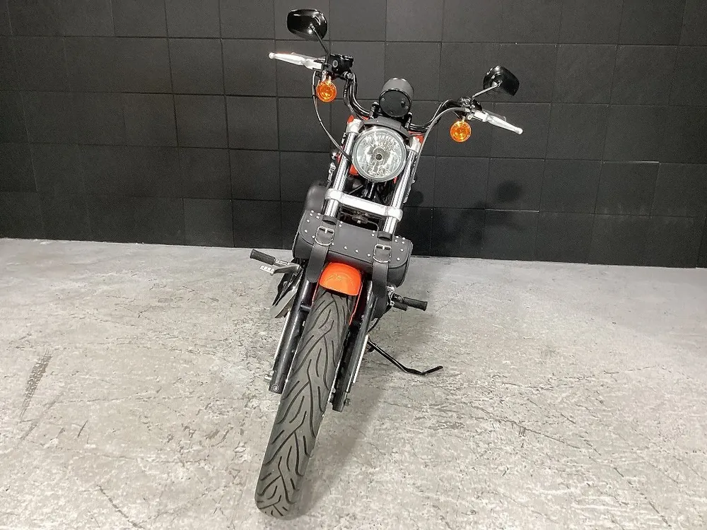 Harley-Davidson XL883R 2006, фото 8