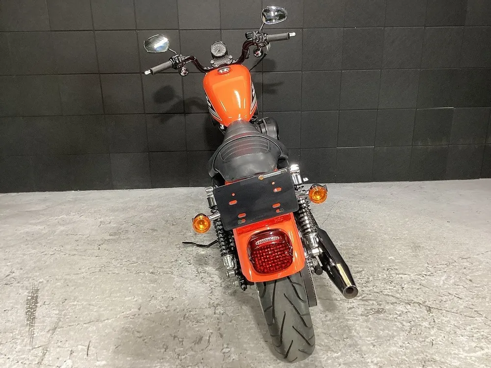 Harley-Davidson XL883R 2006, фото 9