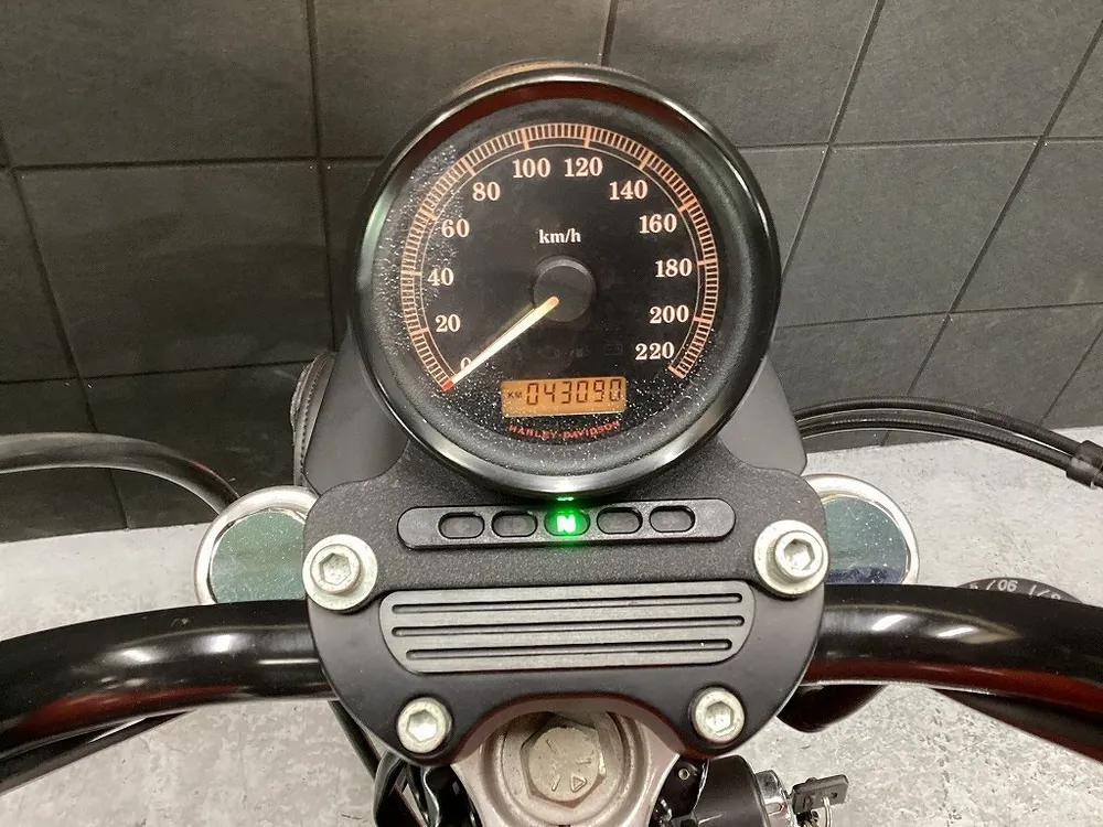 Harley-Davidson XL883R 2006, фото 10