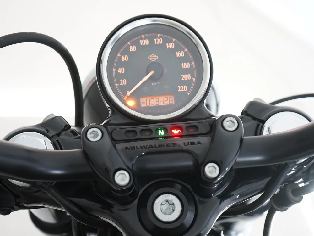 Harley-Davidson XL1200X 2015, зелёный, фото 3