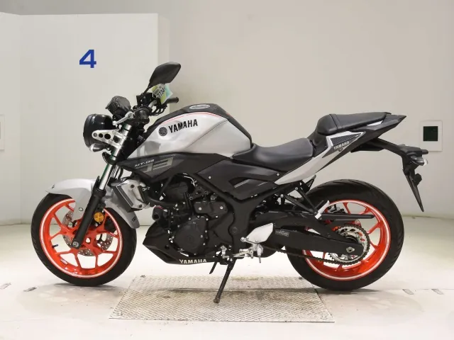 Yamaha YZF-R3 2019, white | black, фото 2