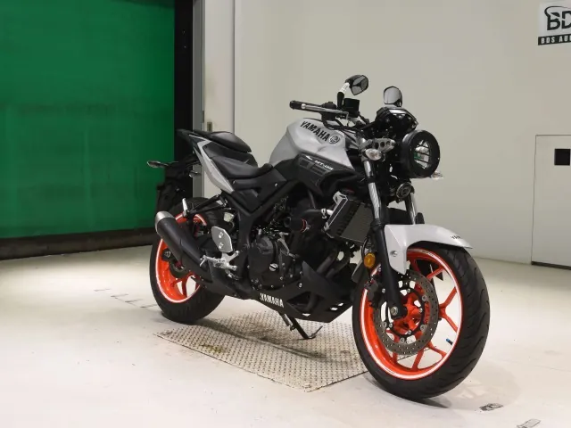 Yamaha YZF-R3 2019, white | black, фото 3