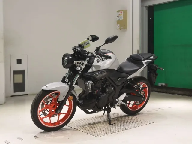 Yamaha YZF-R3 2019, white | black, фото 4
