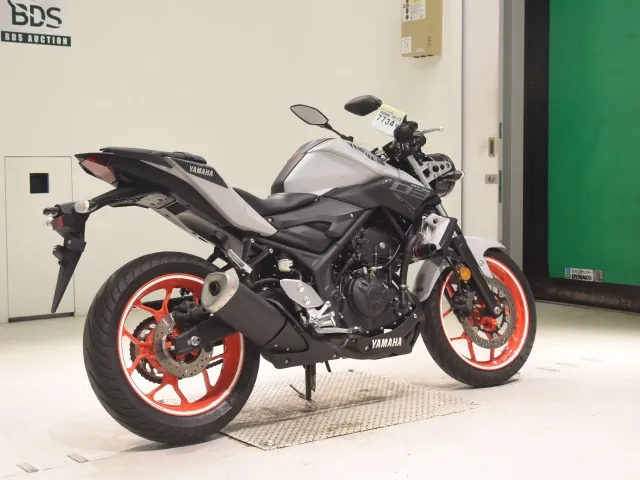 Yamaha YZF-R3 2019, white | black, фото 5