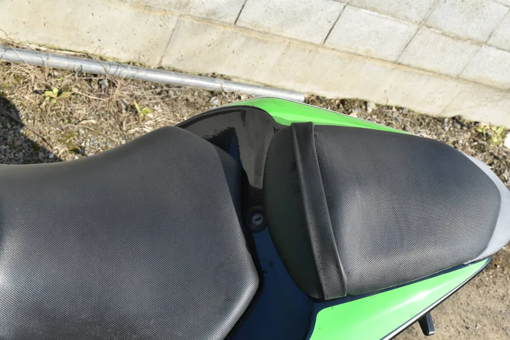 Kawasaki Ninja 250SL, фото 7