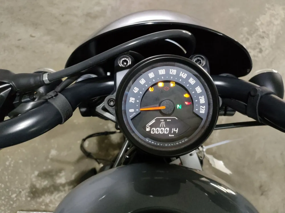 Harley-Davidson RH975 2023, серый, фото 5