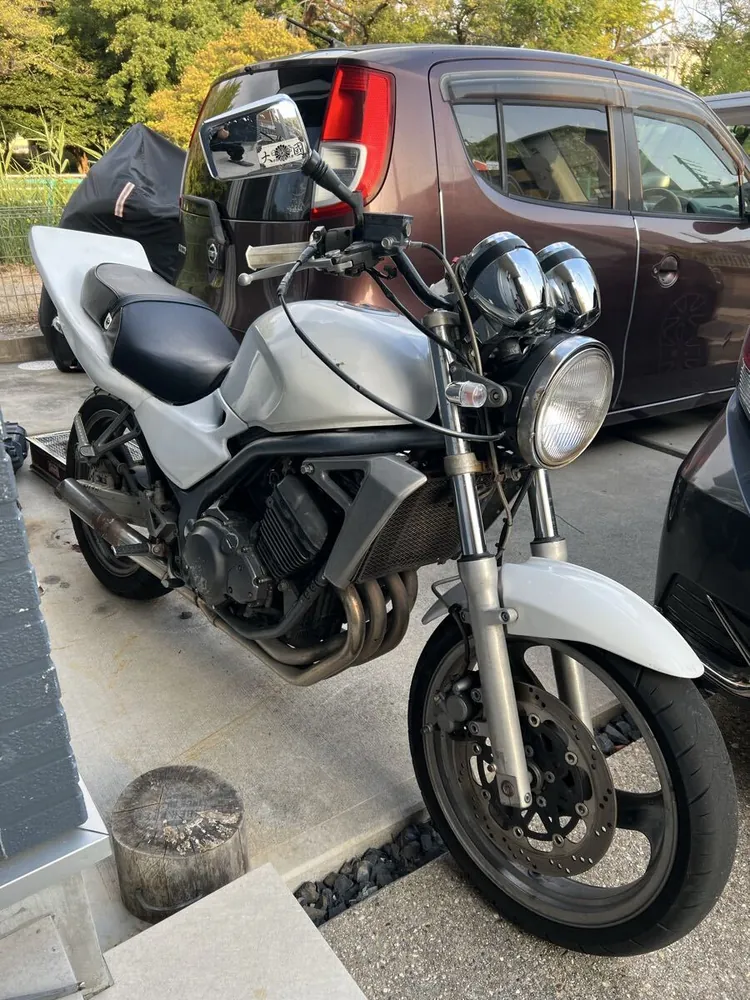 Kawasaki Varios 1995, фото 3