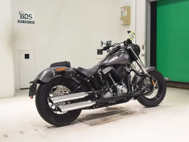 Harley-Davidson FLS1580 2014, black | gray, фото 5