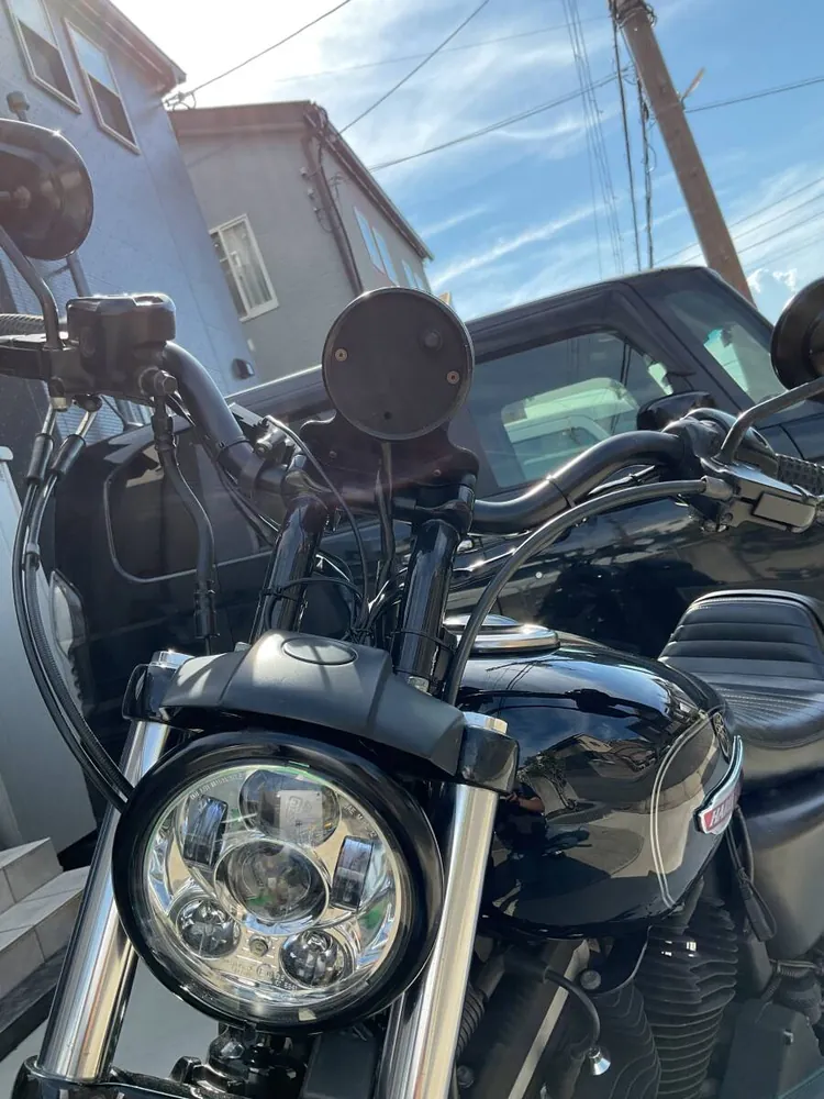 Harley-Davidson XL883N Sportster Iron 2013, фото 2