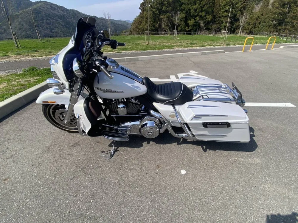 Harley-Davidson Street Glide 2008, фото 3