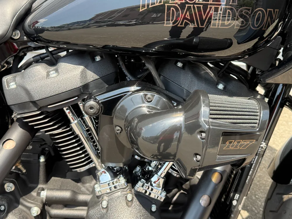 Harley-Davidson FXLRST 2023, чёрный, фото 11