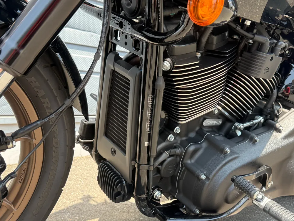 Harley-Davidson FXLRST 2023, чёрный, фото 14