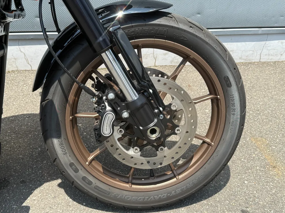 Harley-Davidson FXLRST 2023, чёрный, фото 18