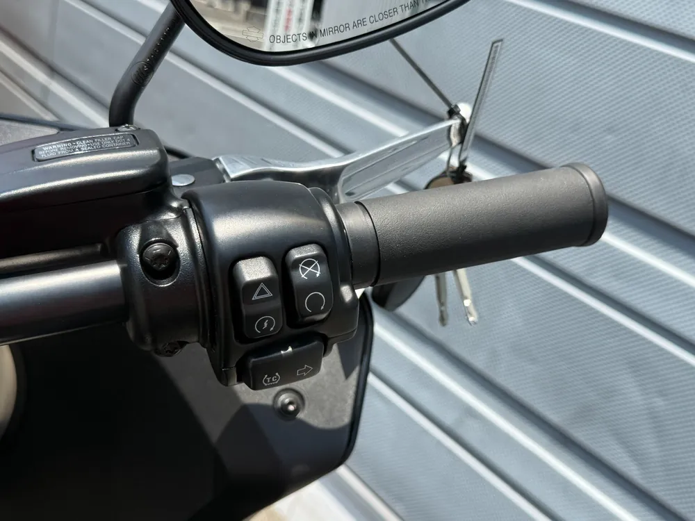 Harley-Davidson FXLRST 2023, чёрный, фото 8