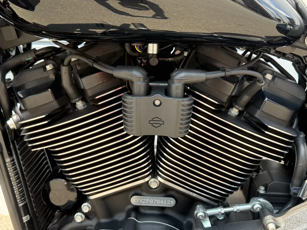 Harley-Davidson FXLRST 2023, чёрный, фото 10