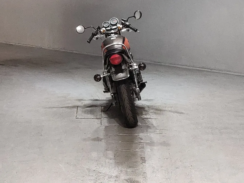 Kawasaki Zephyr 400 1990, orange / light brown, фото 4