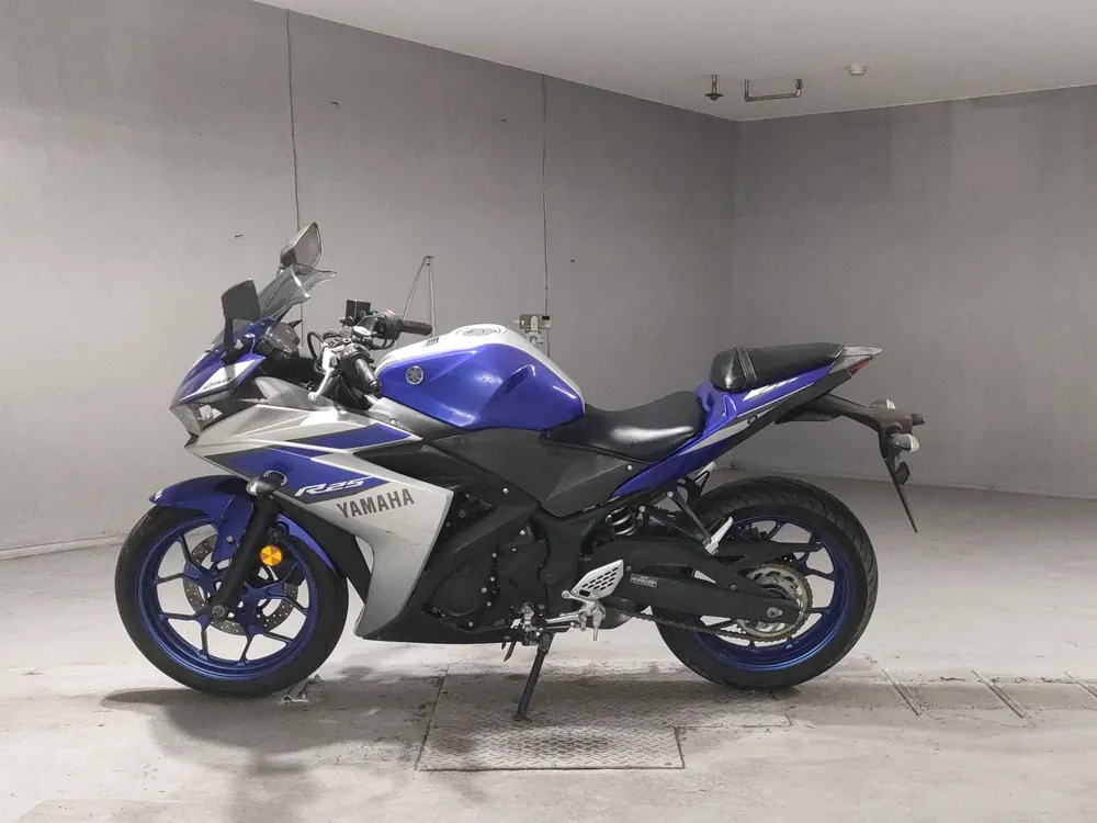 Yamaha YZF-R25, silver / blue, фото 2