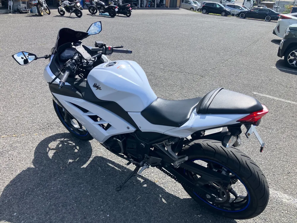 Kawasaki Ninja 250, p white, фото 4