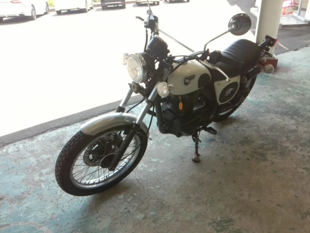 Kawasaki TR250 2022, black / lime, фото 5