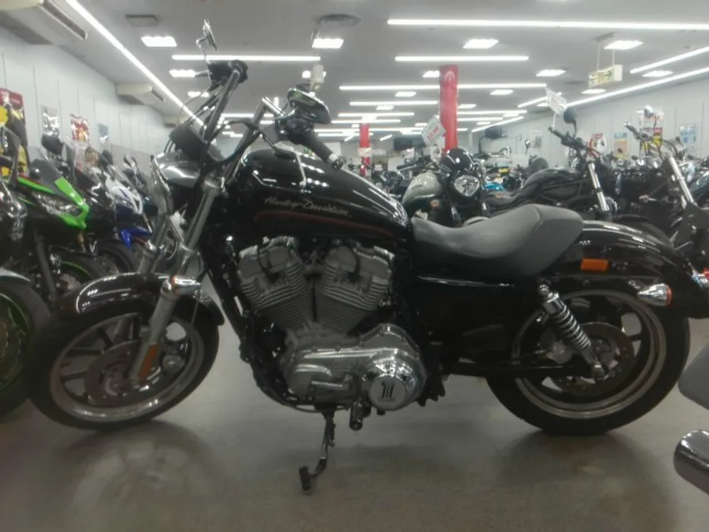 Harley-Davidson Sportster XL883L 2010, light brown, фото 2