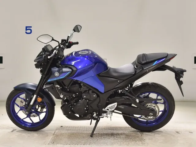 Yamaha YZF-R25, синий, фото 2
