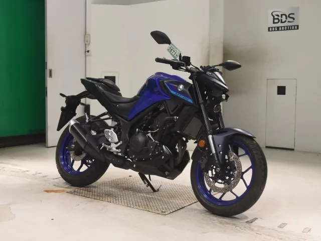 Yamaha YZF-R25, синий, фото 3