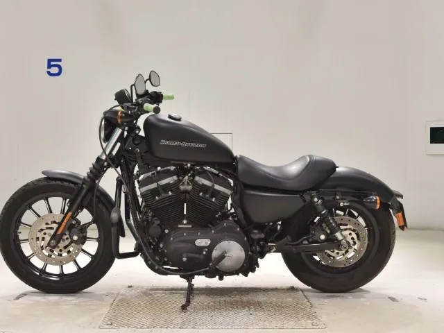 Harley-Davidson XL883N 2010, matt black, фото 2