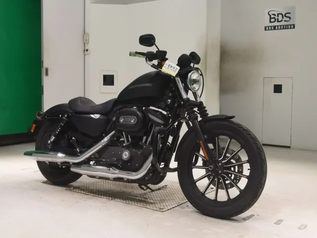 Harley-Davidson XL883N 2010, matt black, фото 3