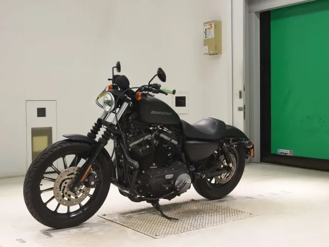 Harley-Davidson XL883N 2010, matt black, фото 4