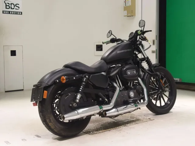 Harley-Davidson XL883N 2010, matt black, фото 5