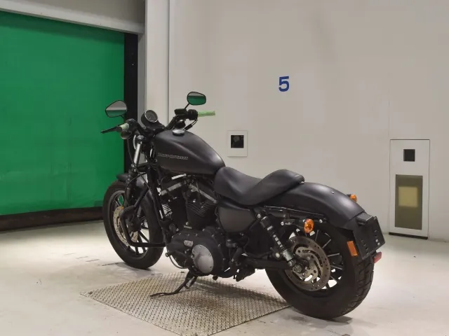 Harley-Davidson XL883N 2010, matt black, фото 6