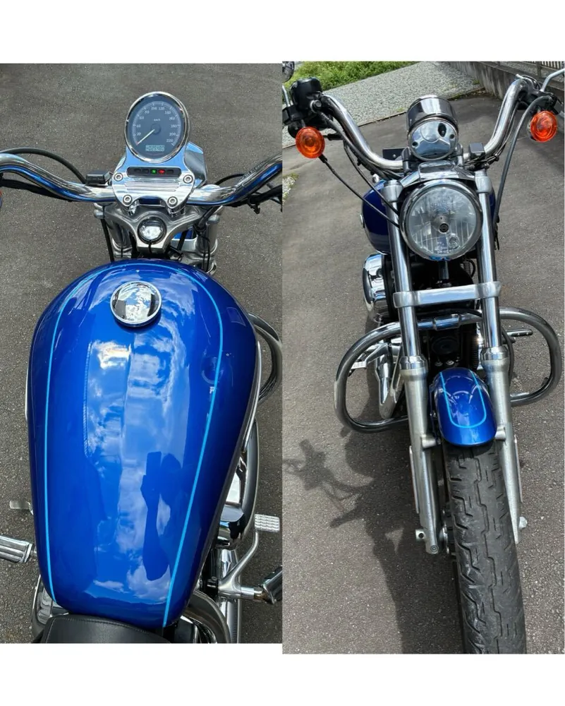 Harley-Davidson Sportster XL1200L 2008, фото 9