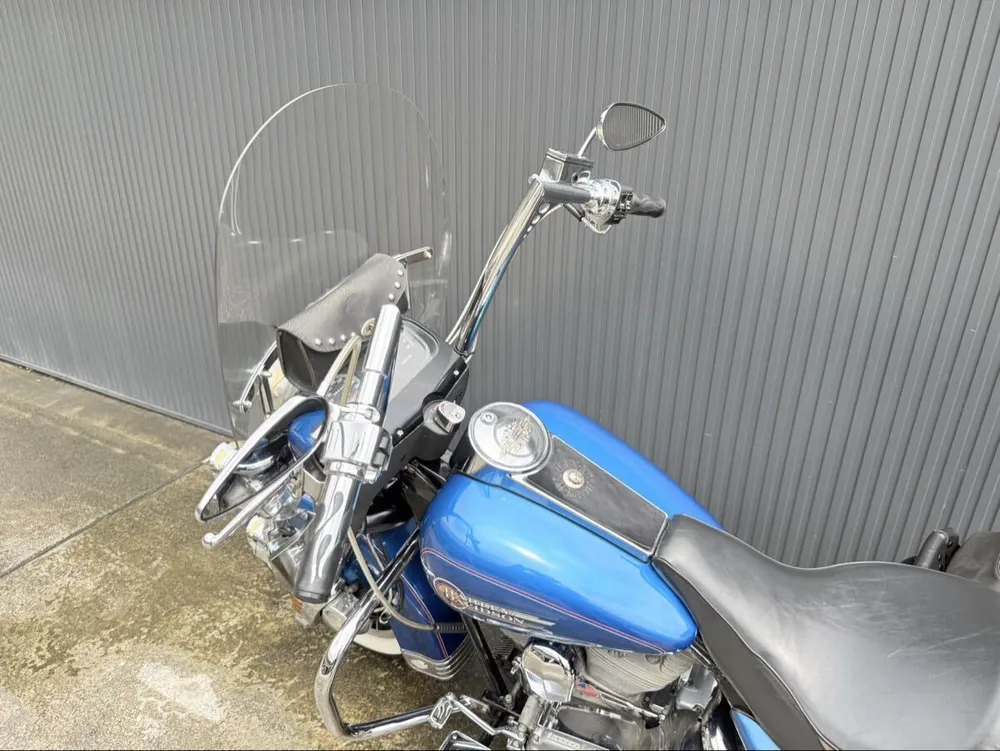 Harley-Davidson FLHS 1993, фото 2