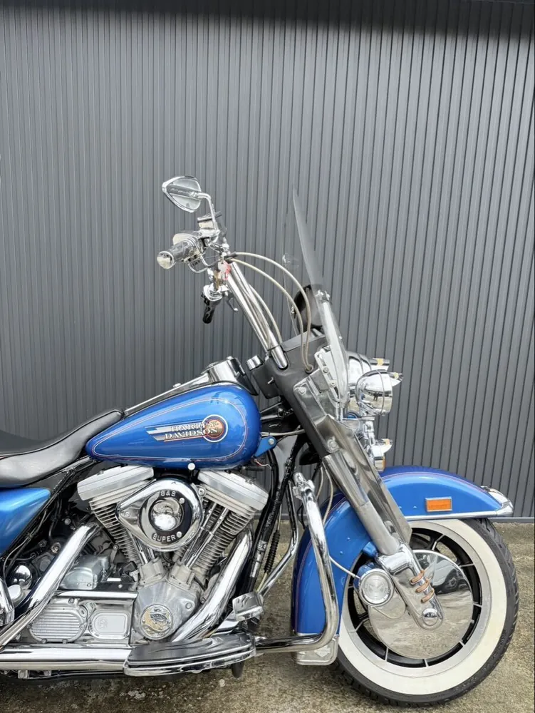 Harley-Davidson FLHS 1993, фото 7