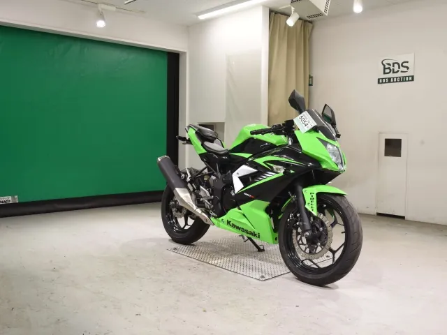 Kawasaki Ninja 250SL, black | green, фото 3