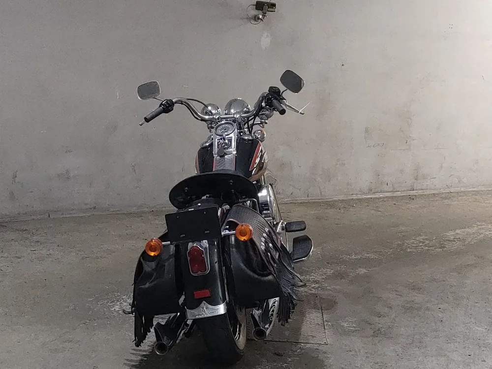 Harley-Davidson FLSTS1340 1998, black/red, фото 4