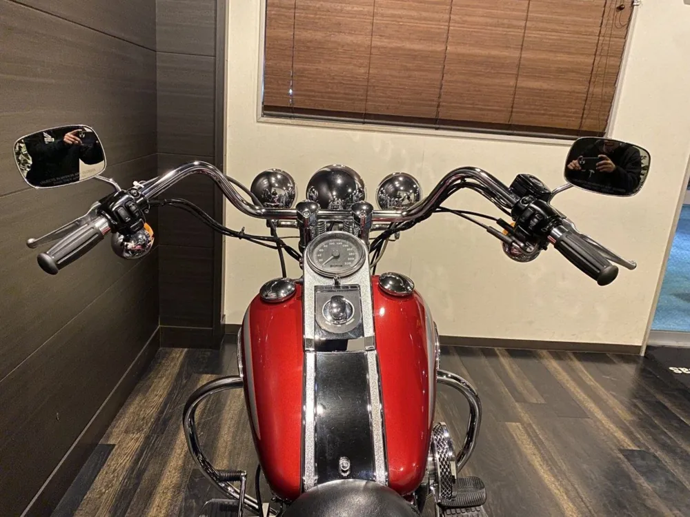 Harley-Davidson FLSTS1450 1999, красный, фото 6